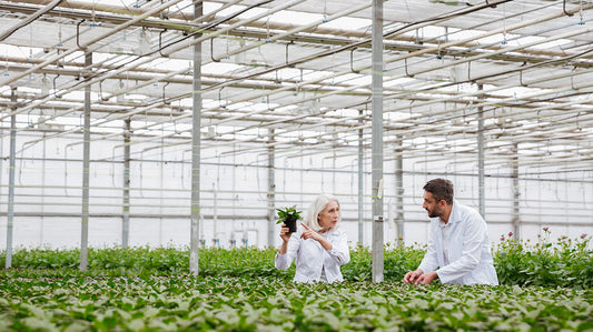 Welche Werte/Merkmale erfasst ein Raumbediengerät für Luftfeuchtigkeit und Temperatur?