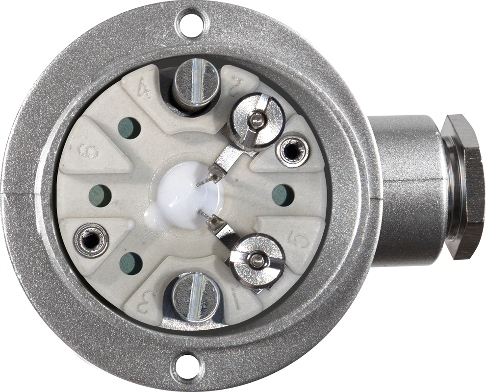 THERMASGARD® RGTF2 Pt1000 500/80mm Q