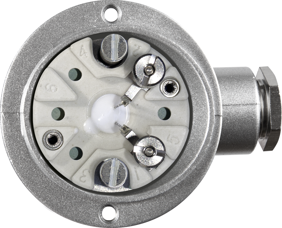 THERMASGARD® RGTF2 Pt1000 300/80mm Q